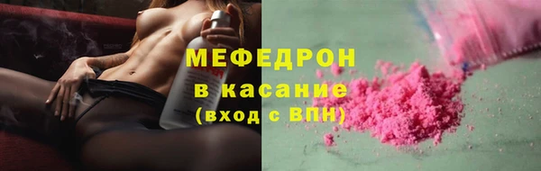 твердый Лагань