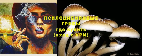 трава Куйбышев