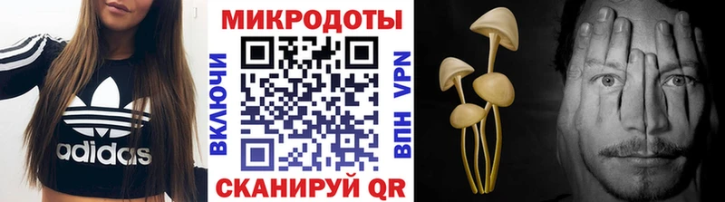 Галлюциногенные грибы Psilocybe  Купить закладки  Корсаков 